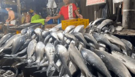 Fish in all areas in Manila Bay safe to eat —BFAR.